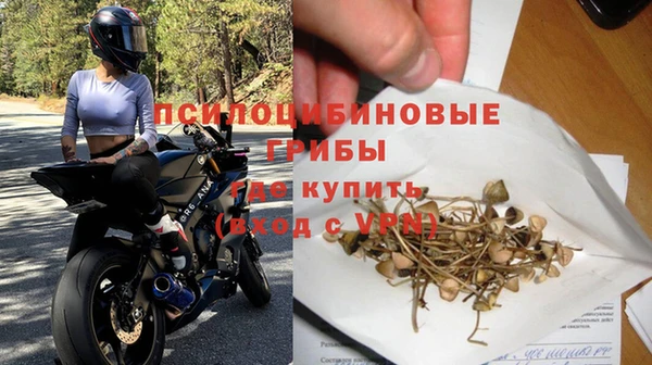 стаф Кукмор