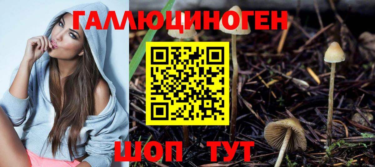 Галлюциногенные грибы прущие грибы  Вход с VPN  Саянск 