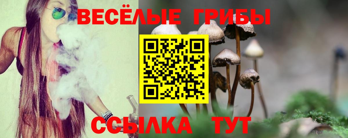 Галлюциногенные грибы Cubensis Саянск